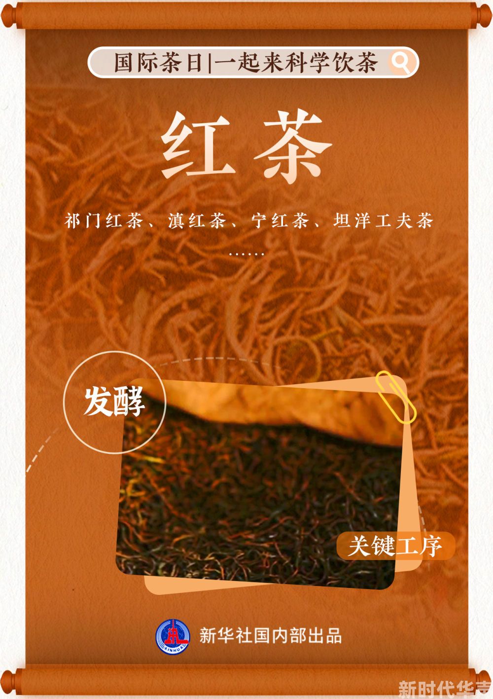 国际茶日丨红绿黄白青黑花，一起来科学饮茶
